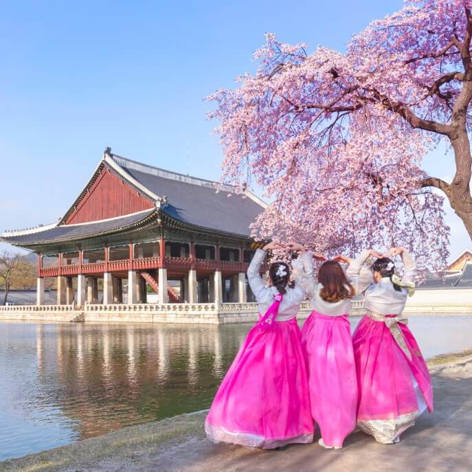 shutterstock_1462313024-korea-square