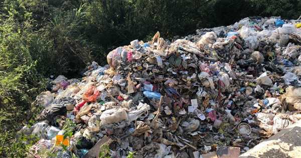 高雄山坡棄置百噸垃圾　岡山區里長父子和司機遭裁押