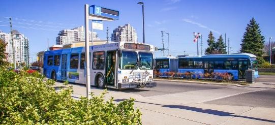 toronto-yrt1